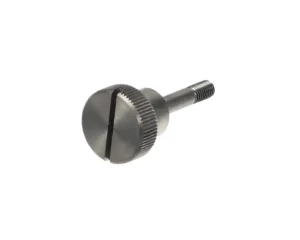 a close up of a screw