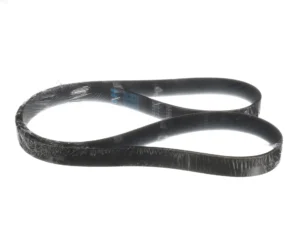 a black belt on a white background
