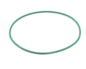 a green circle on a white background