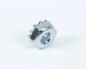 a close up of a nut