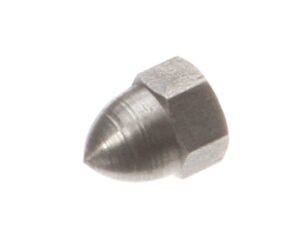 a close up of a nut