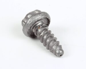 a silver screw with a round head